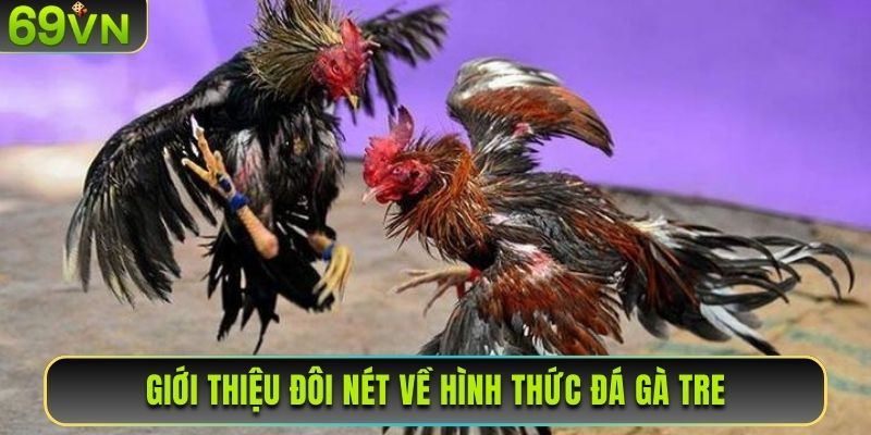 Giới thiệu đôi nét về hình thức đá gà tre