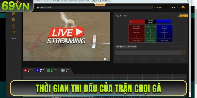 Thời gian thi đấu của trận chọi gà