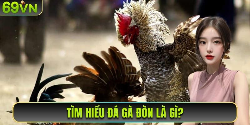 Tìm hiểu đá gà đòn là gì?