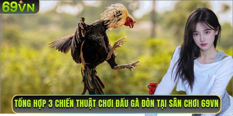 Tổng hợp 3 chiến thuật chơi đấu gà đòn tại sân chơi 69VN