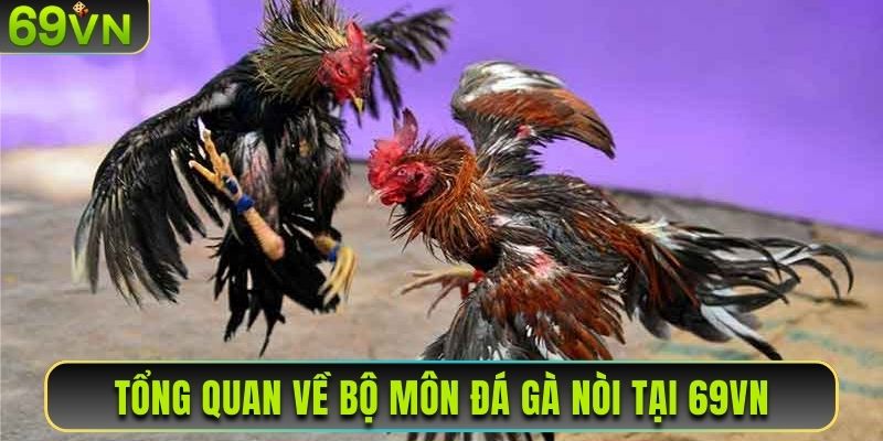 Tổng quan về bộ môn đá gà nòi